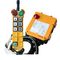 F24-6D Wireless Crane Remote Control supplier